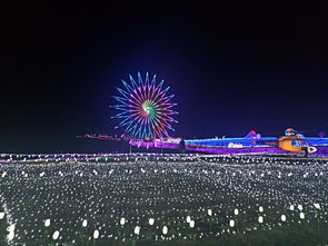 現代科技賦能燈光展 打造沉浸式展覽新紀元