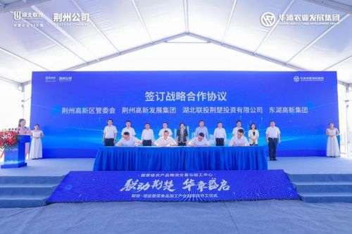 國家級農產品物流交易與加工中心 聯投 增益楚菜食品加工產業園項目正式開工